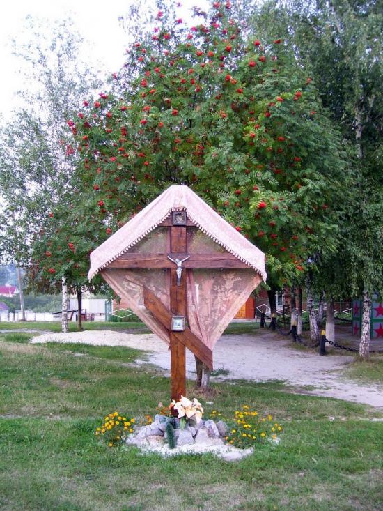 Нова Березівка з panoramio.com - Нова Березівка