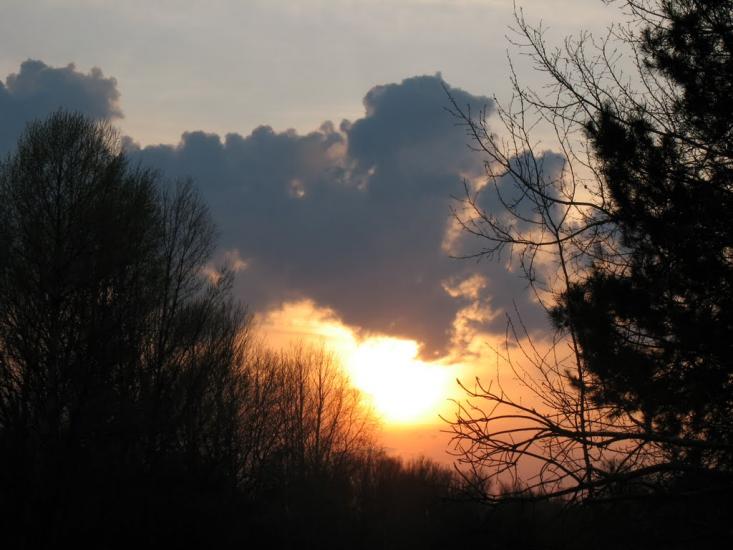 Кривуші з panoramio.com - Кривуші