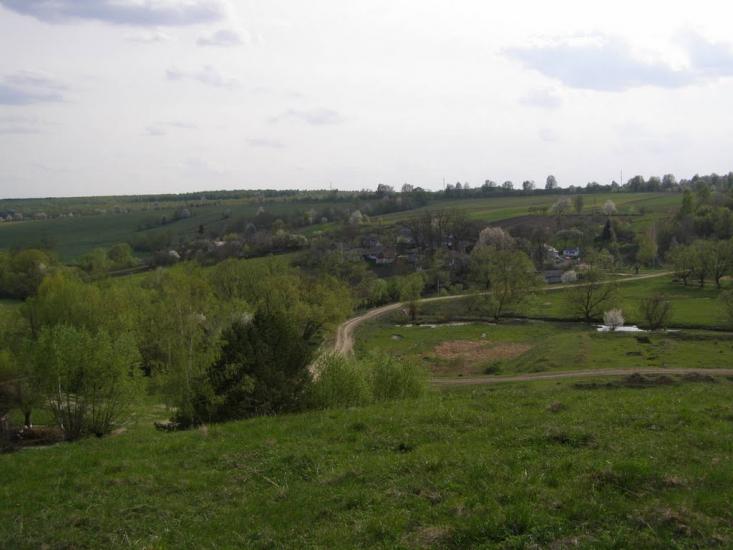 Віньківці з panoramio.com - Виньковцы