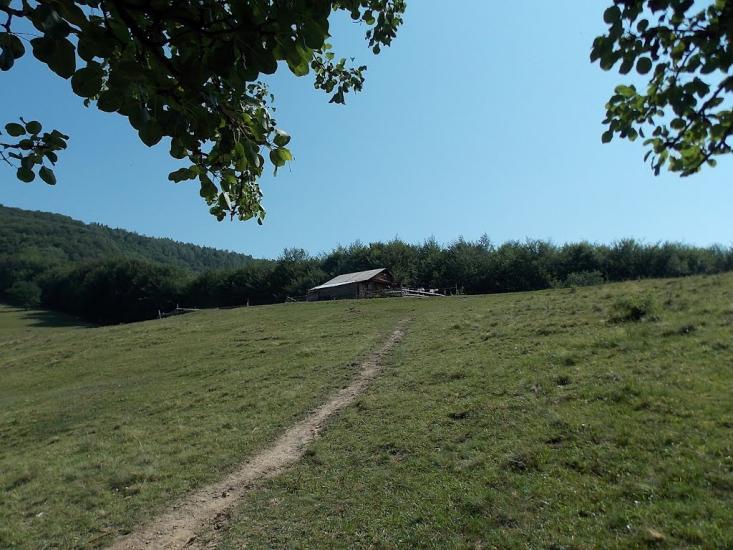 Прокурава з panoramio.com - Прокурава
