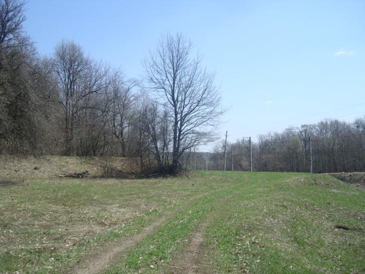 Чапаєвка з panoramio.com - Малые Коростовцы