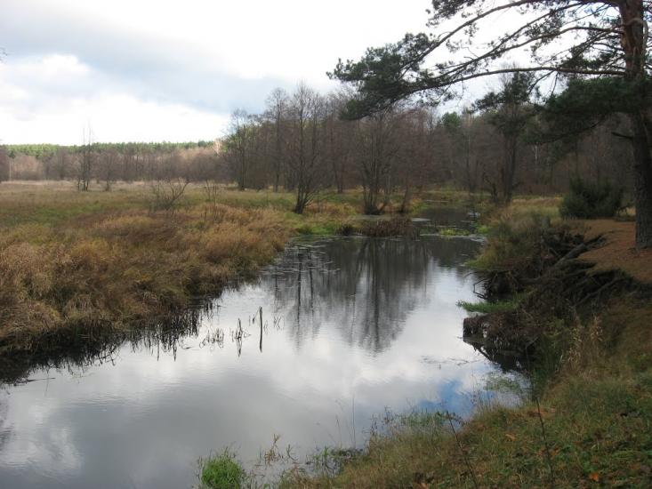 Візня з panoramio.com - Візня
