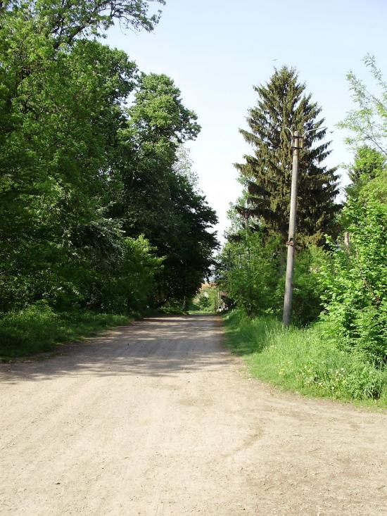 Черниця з panoramio.com - Черниця