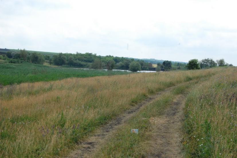 Маринівка з panoramio.com - Мариновка