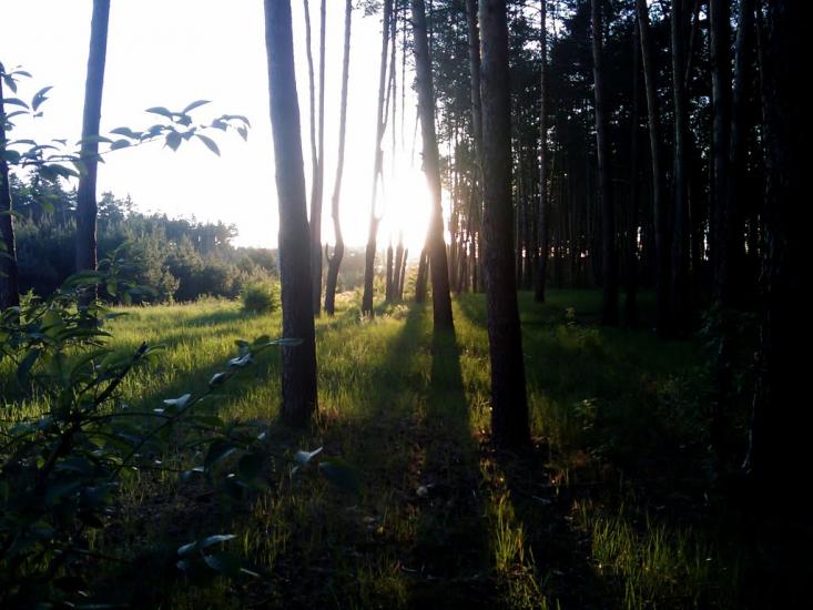 Геронимівка з panoramio.com - Geronymivka