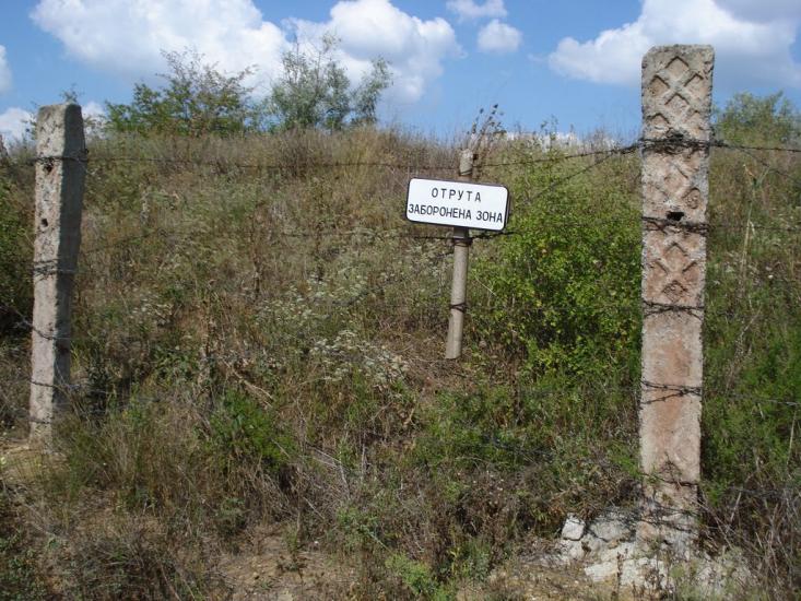 Алтестове з panoramio.com - Алтестово