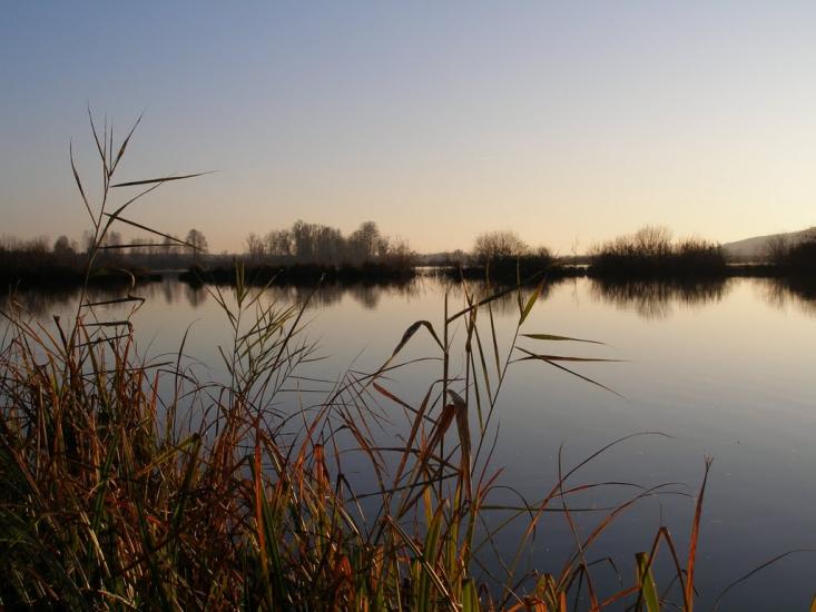 Мошни з panoramio.com - Мошны