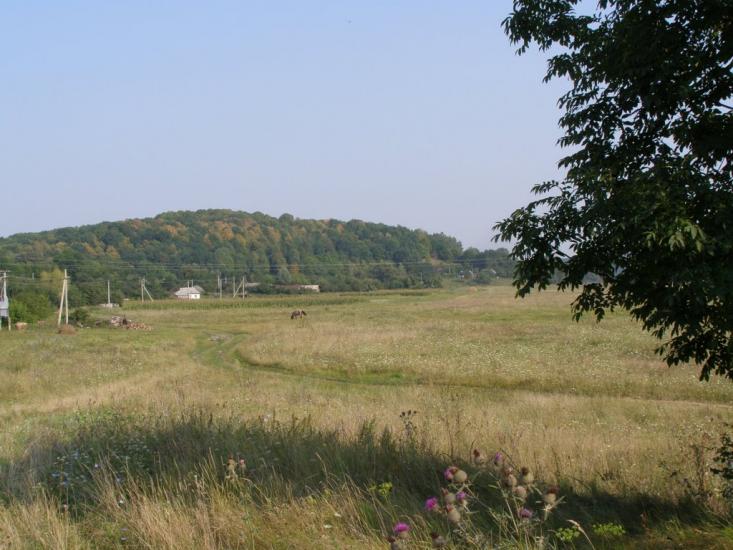 Томашівка з panoramio.com - Томашівка