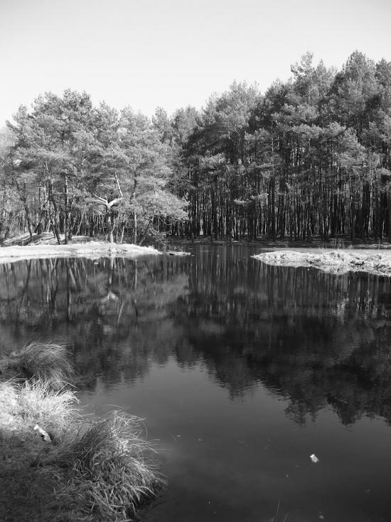 Рудне з panoramio.com - Рудне