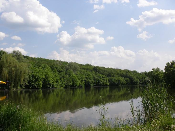 Алмазна з panoramio.com - Almazna