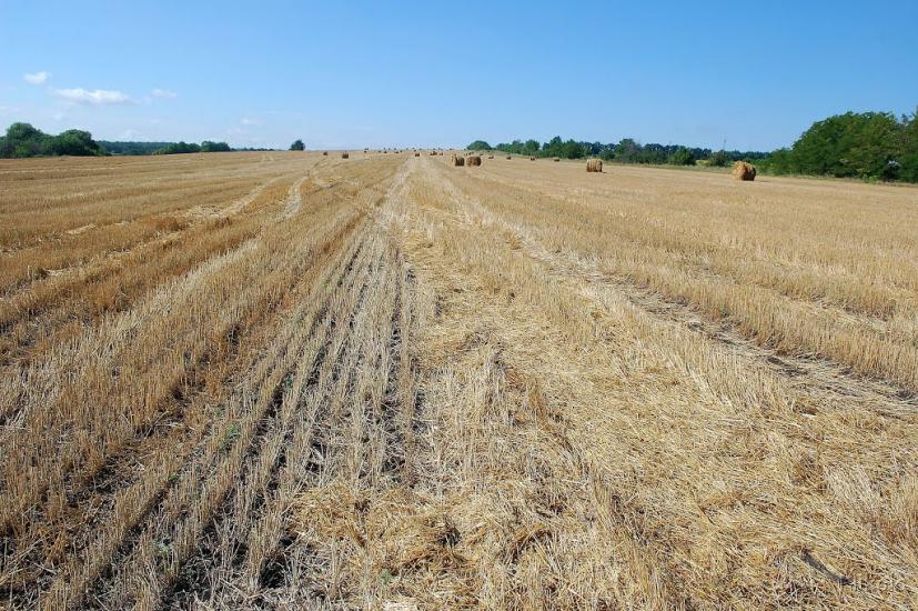 Біла Гора з panoramio.com - Bila Gora