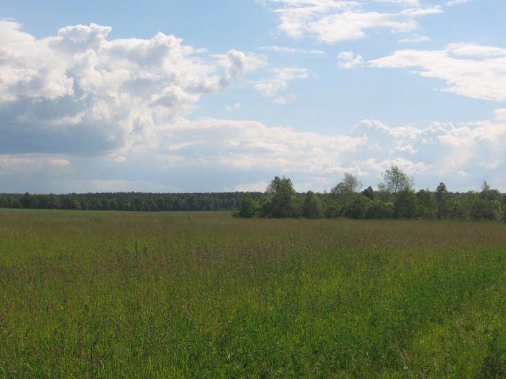 Терехівка з panoramio.com - Тереховка