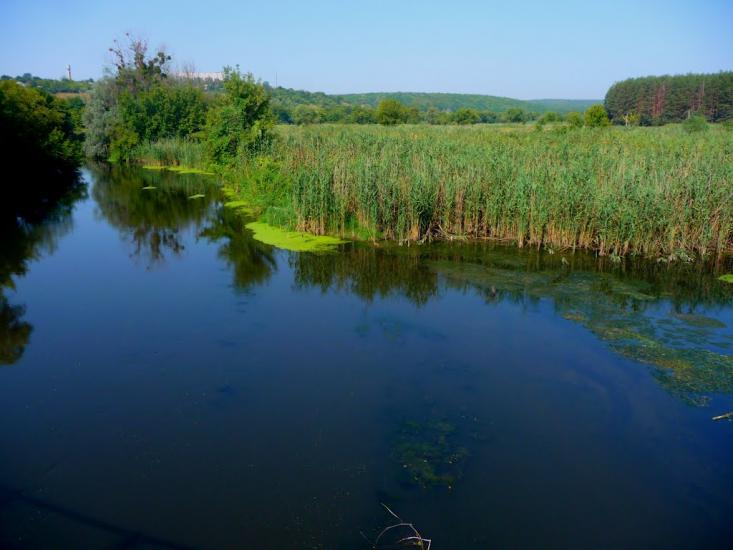 Хорошеве з panoramio.com - Хорошево