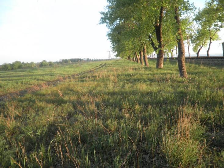 Недогарки з panoramio.com - Nedogarky