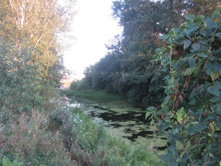 Сенча з panoramio.com - Sencha
