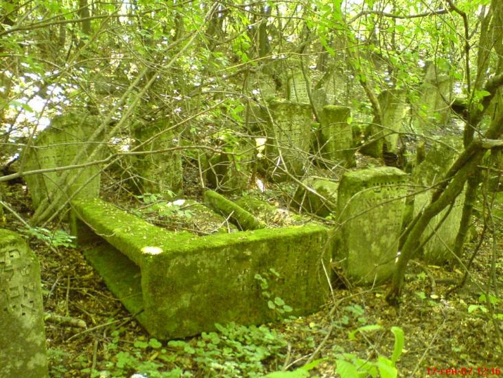 Загоряни з panoramio.com - Загоряни