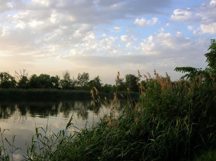 Старий Айдар з panoramio.com - Staryy Aydar