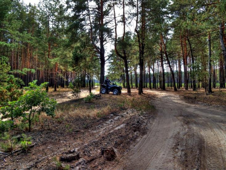 Плесецьке з panoramio.com - Plesetske