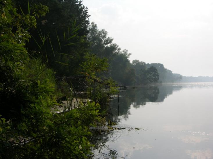 Шабельники з panoramio.com - Шабельники
