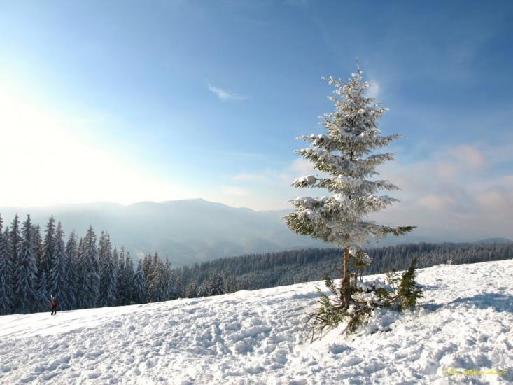 Стебний з panoramio.com - Стебний