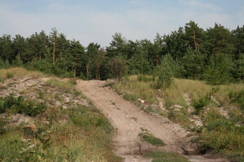 Любимівка з panoramio.com - Любимовка