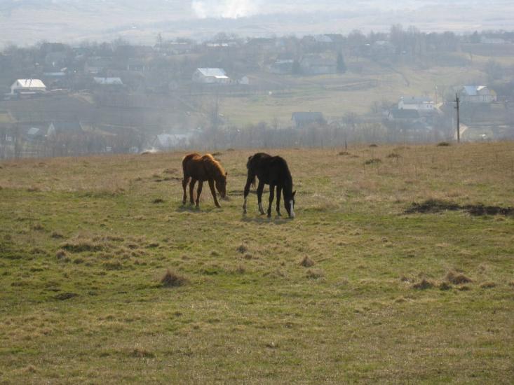 Михальча з panoramio.com - Mykhalcha