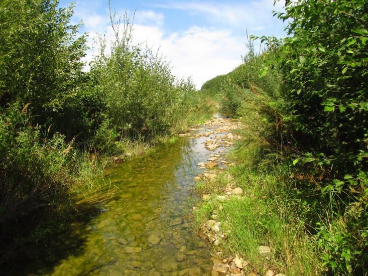Маркова з panoramio.com - Markova