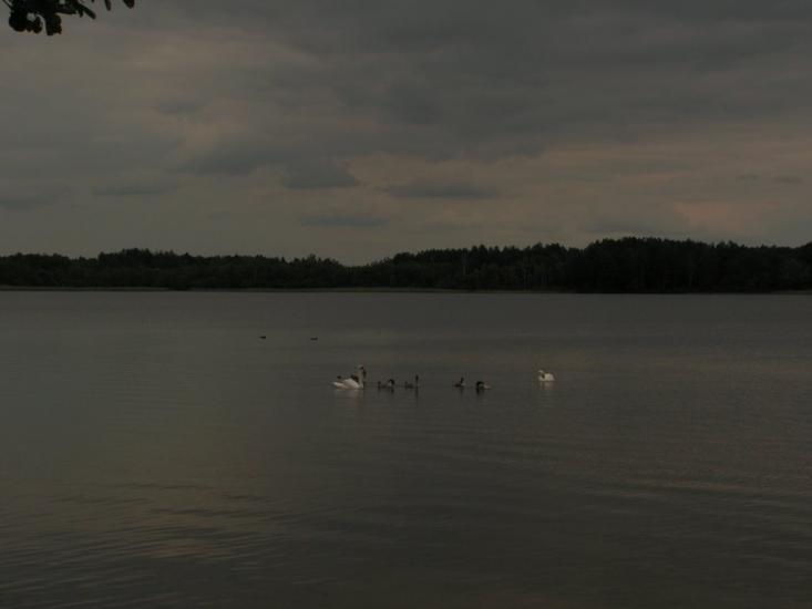 Заозерне з panoramio.com - Заозерне