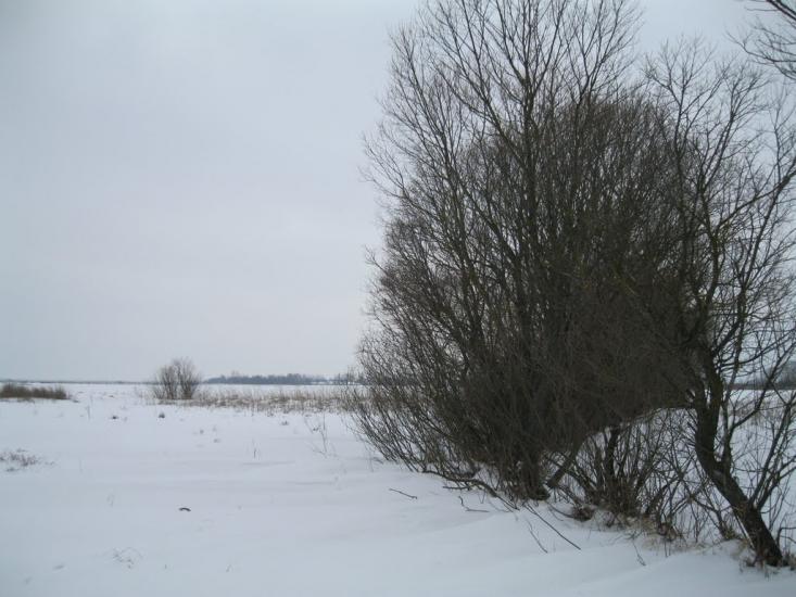 Хотешів з panoramio.com - Khoteshiv