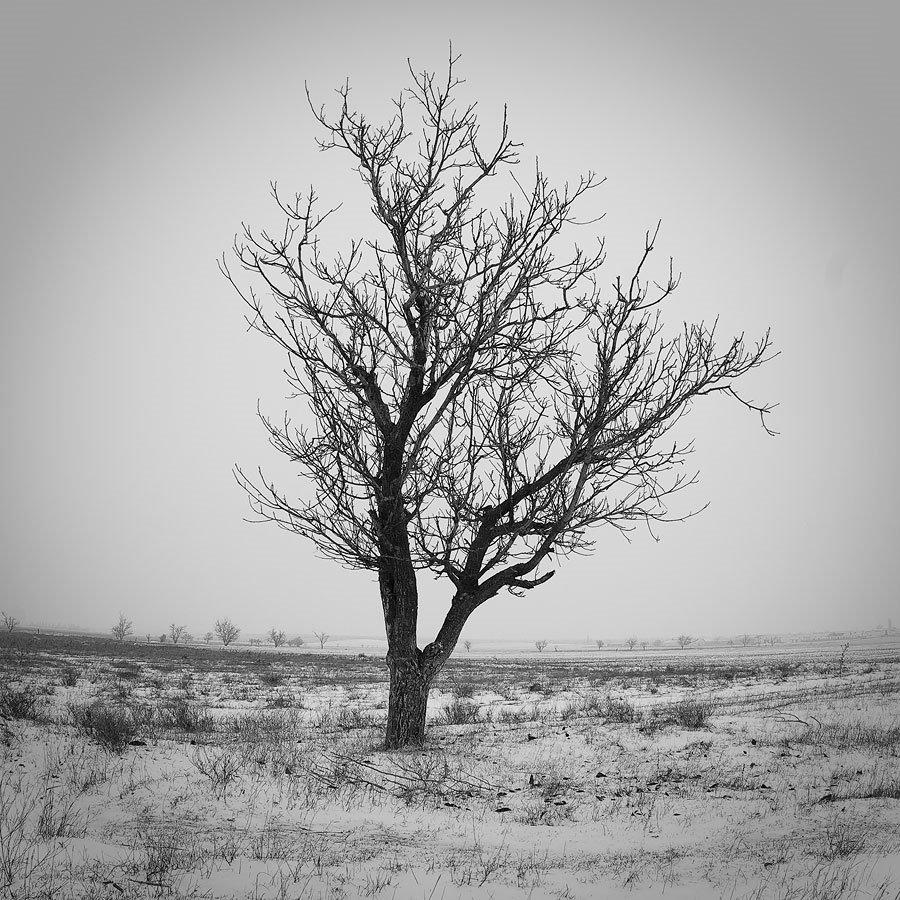 Табачне з panoramio.com - Табачне