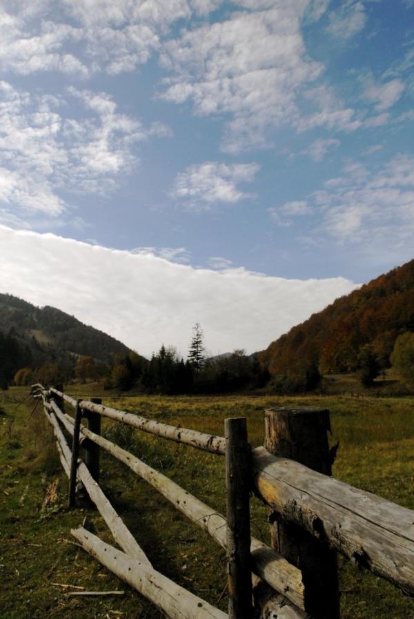 Рибник з panoramio.com - Rybnyk