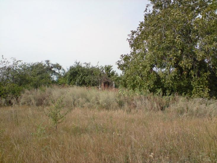 Веселе Поле з panoramio.com - Веселое Поле