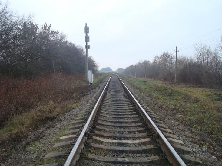Воронківці з panoramio.com - Воронковцы