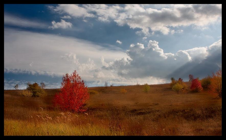 Замірці з panoramio.com - Замірці
