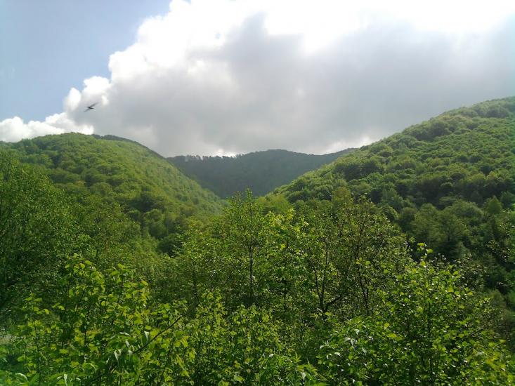 Ганьковиця з panoramio.com - Ганьковица