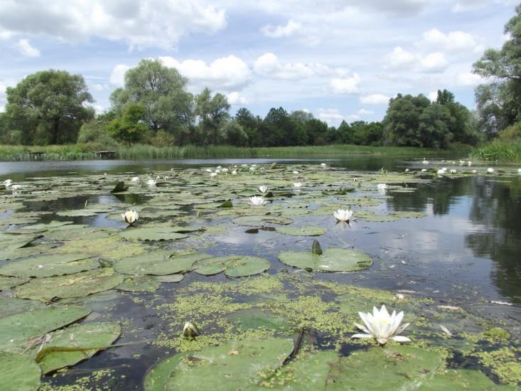 Гатище з panoramio.com - Гатище