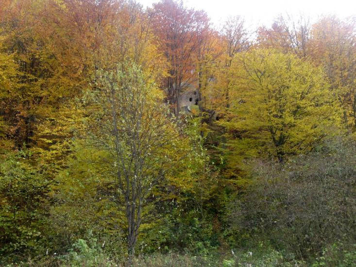 Розгірче з panoramio.com - Розгірче