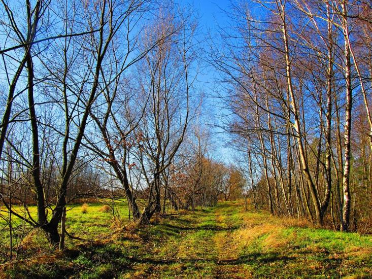 Гійче з panoramio.com - Гійче