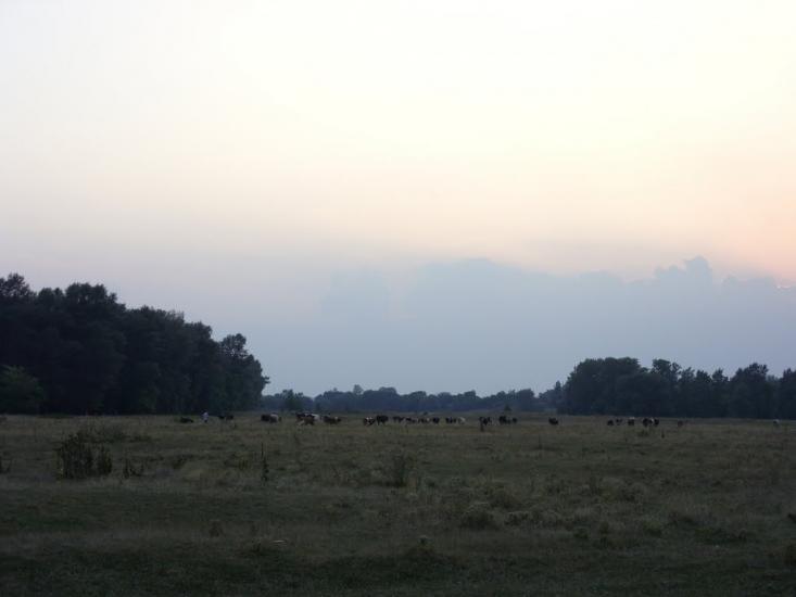 Говтва з panoramio.com - Govtva