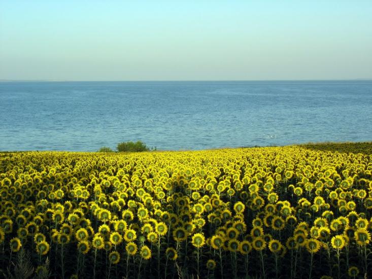 Мар'янське з panoramio.com - Maryanske