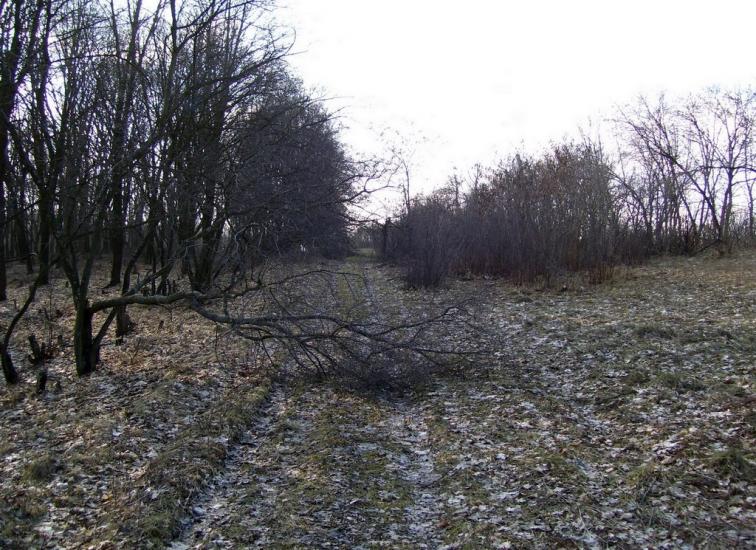 Буди з panoramio.com - Буды