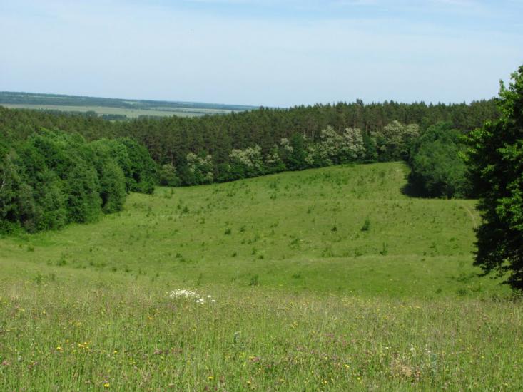 Хмільник з panoramio.com - Khmilnyk