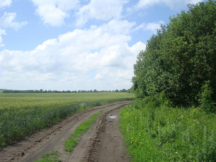 Грузевиця з panoramio.com - Грузевиця