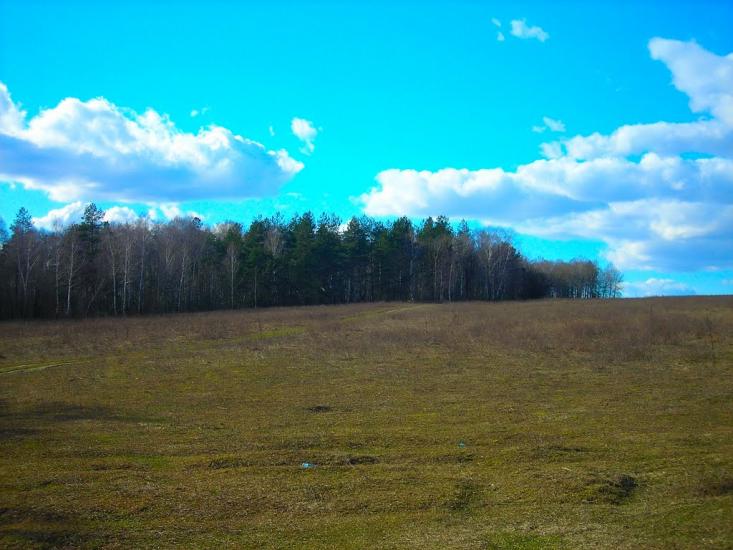 Старий Білоус з panoramio.com - Staryy Bilous