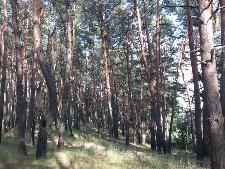 Мала Данилівка з panoramio.com - Мала Данилівка