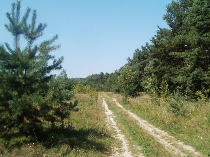 Бережне з panoramio.com - Бережное