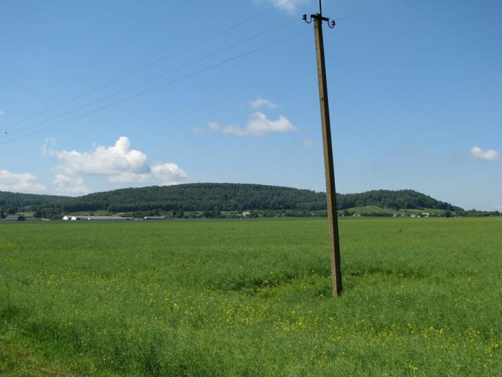 Грядки з panoramio.com - Грядки