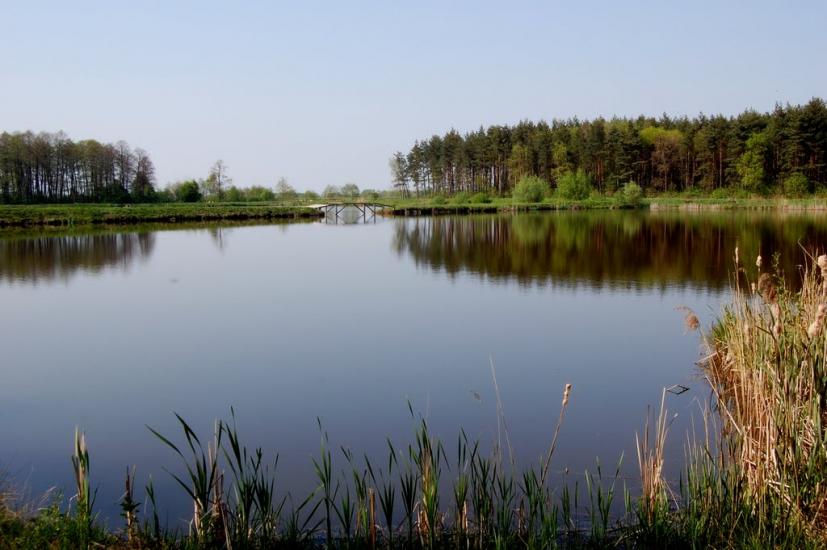 Шегині з panoramio.com - Шегини