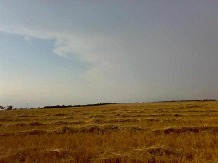 Берегове з panoramio.com - Берегово