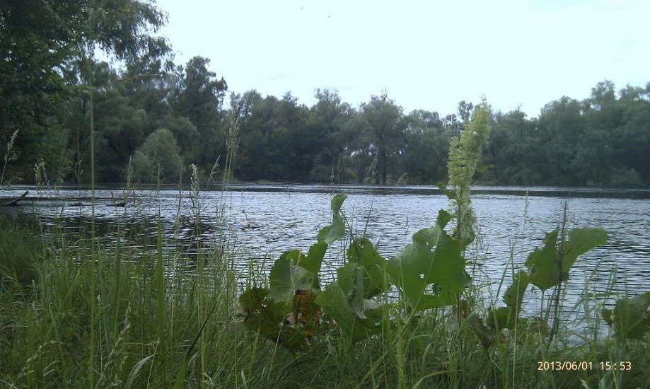 Соболівка з panoramio.com - Соболевка